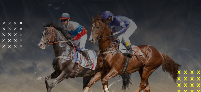 Online Horse Race Betting India at Parimatch: Detailed Guide
