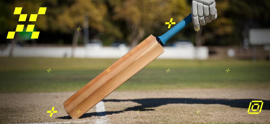 Picking the Best Bat in the World: A Comprehensive Guide