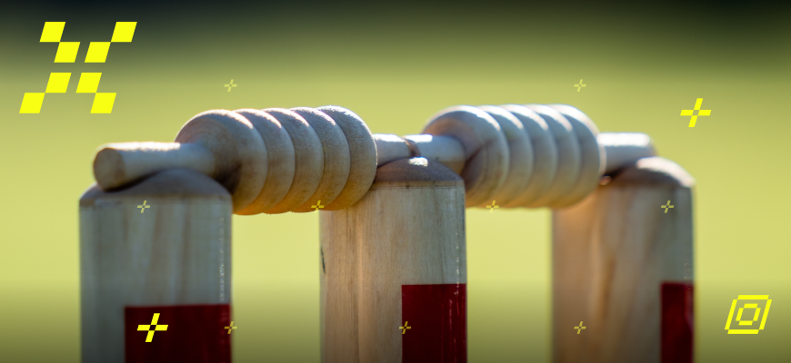 stumps-meaning-in-cricket